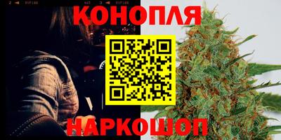Альфа ПВП Дубна
