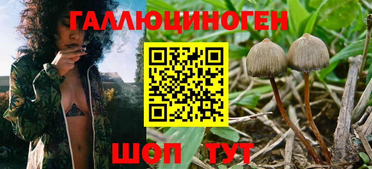 Галлюциногенные грибы Psilocybe  Вход с VPN  Галлюциногенные грибы Cubensis  Набережные Челны 